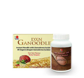 Ganoodle Product